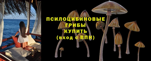 ГАЛЛЮЦИНОГЕННЫЕ ГРИБЫ Алексин