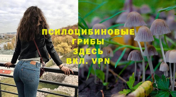 ГАЛЛЮЦИНОГЕННЫЕ ГРИБЫ Алексин