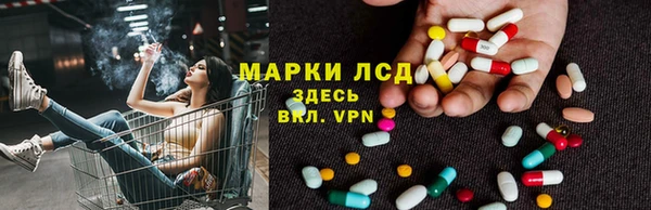 ГАЛЛЮЦИНОГЕННЫЕ ГРИБЫ Алексин