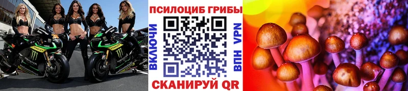Псилоцибиновые грибы Cubensis  Нижнеудинск 